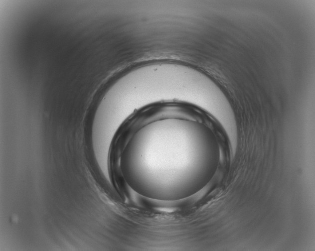 X0000073430256200608041057