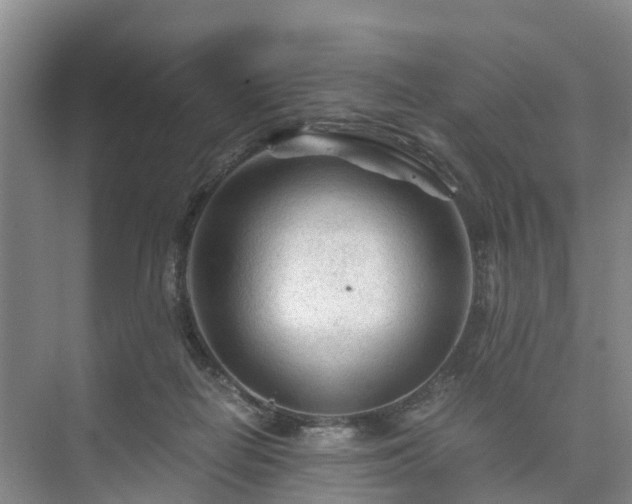X0000073430266200608041058