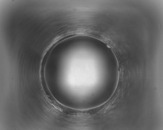 X0000073430292200608041057