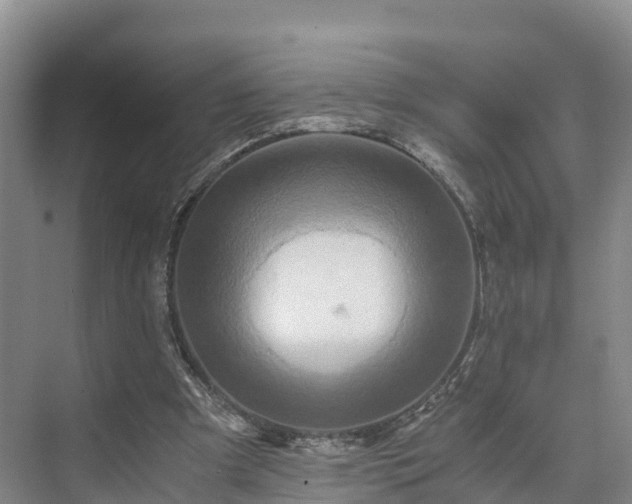 X0000073430297200608041057