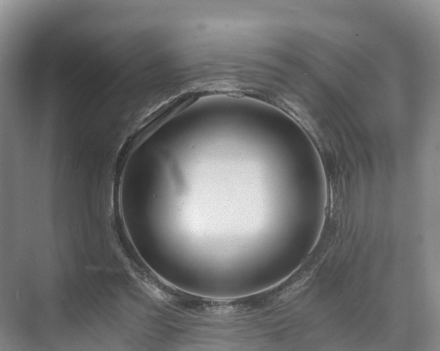 X0000073430301200608041057
