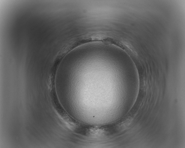 X0000073430311200608041057