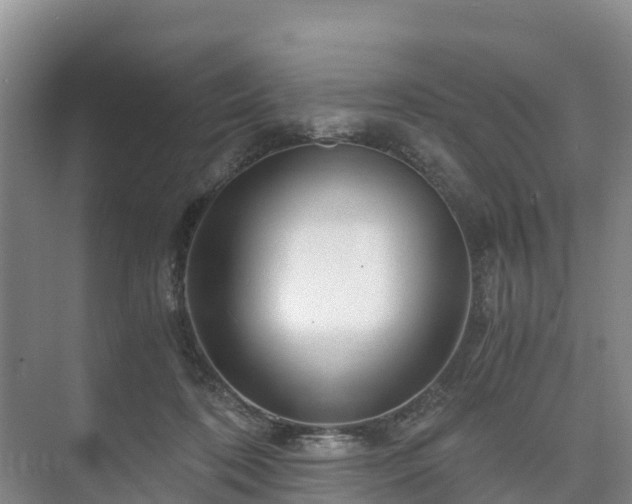 X0000073430316200608041057