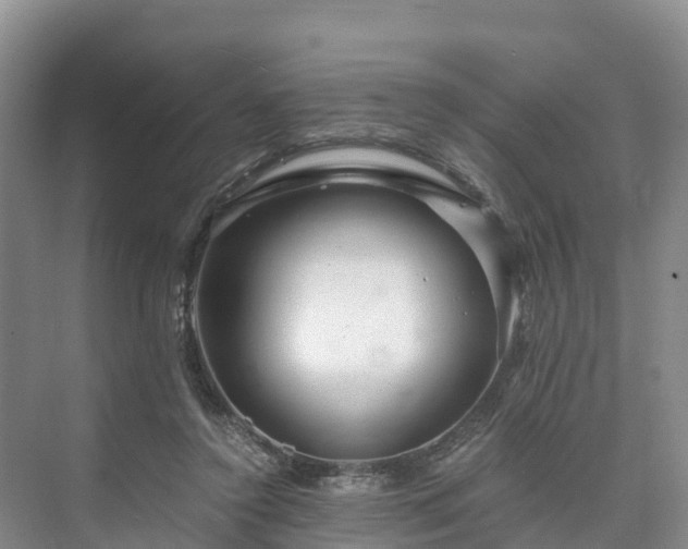 X0000073430356200608041056