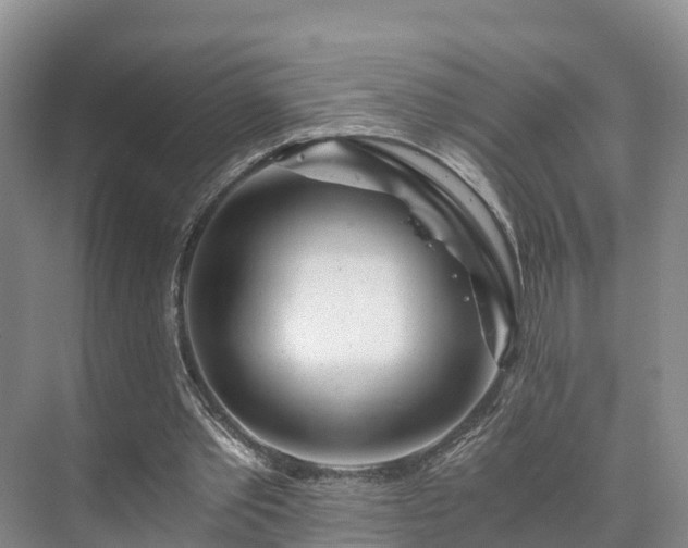 X0000073430389200608041056
