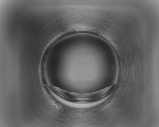 X0000073430391200608041055