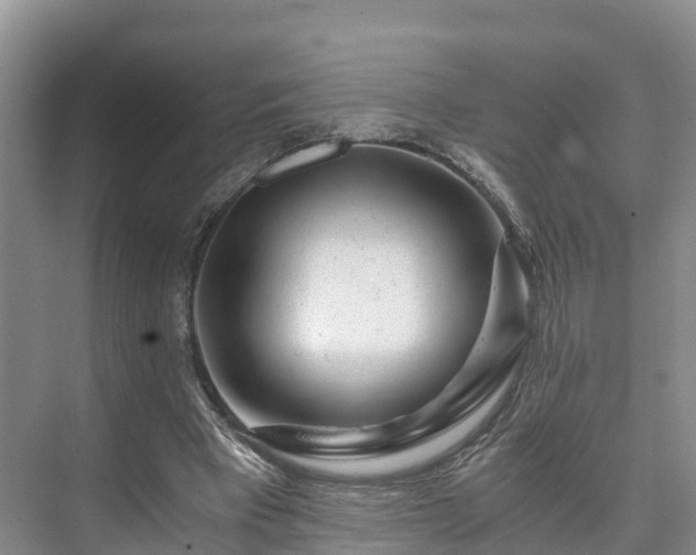 X0000073430393200608041055