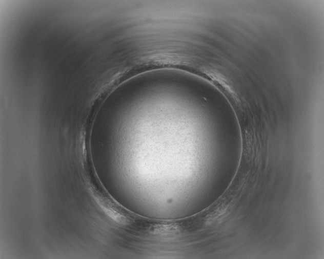 X0000073430398200608041055