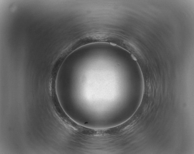 X0000073430404200608041055
