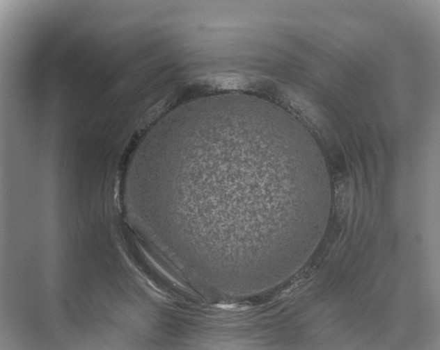 X0000073430406200608041055