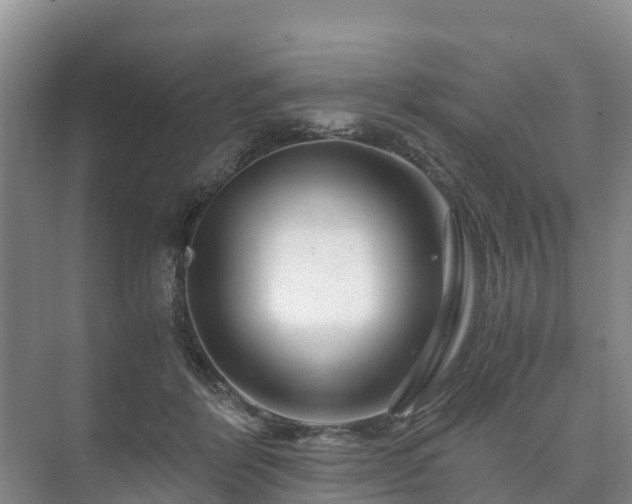 X0000073430412200608041055