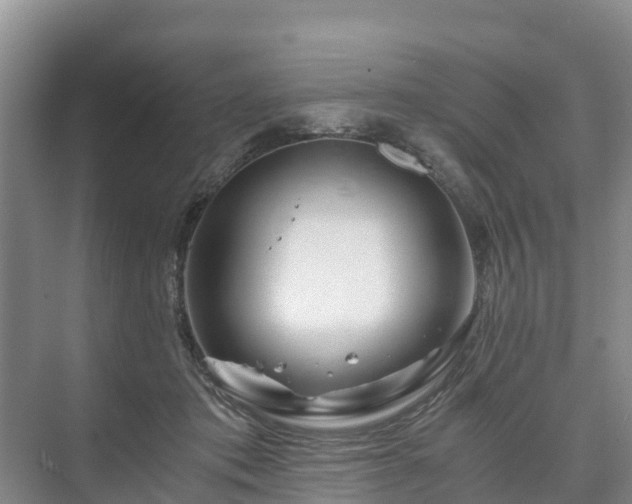 X0000073430413200608041055