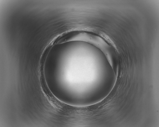 X0000073430436200608041054