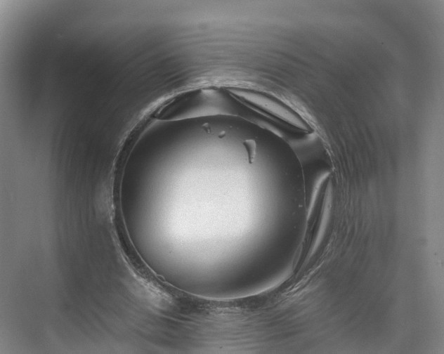 X0000073430438200608041054