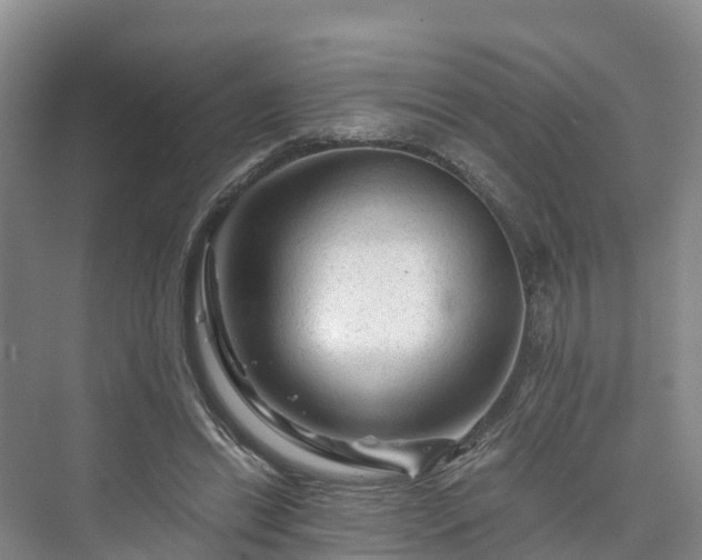 X0000073430446200608041054