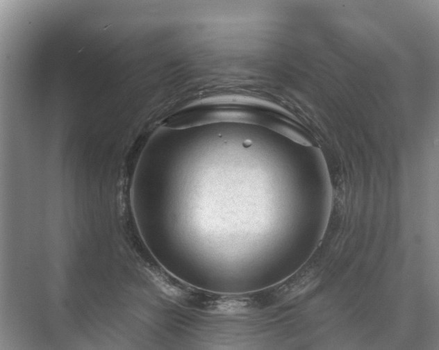 X0000073430462200608041054