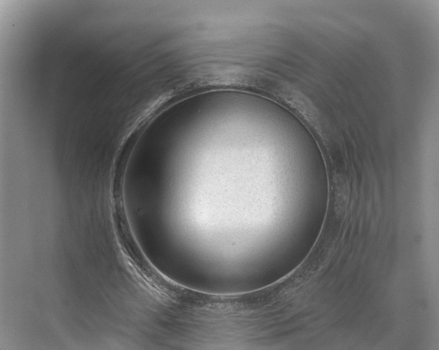 X0000073430482200608041054