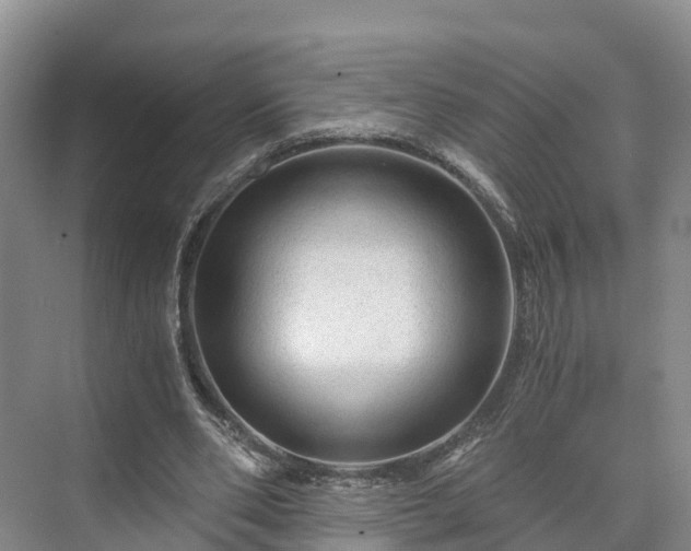 X0000073430486200608041054