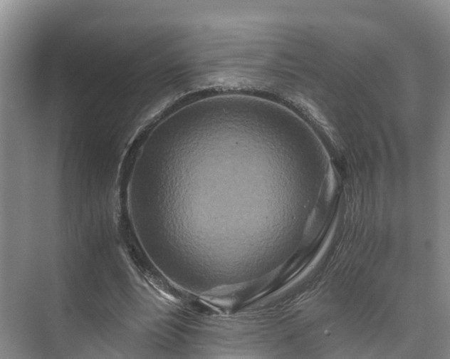 X0000073430488200608041054