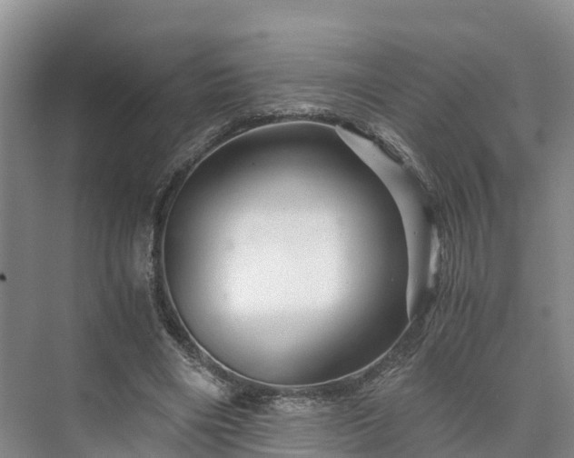 X0000073430490200608041054