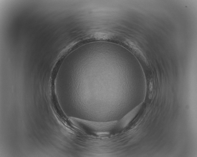 X0000073430492200608041054