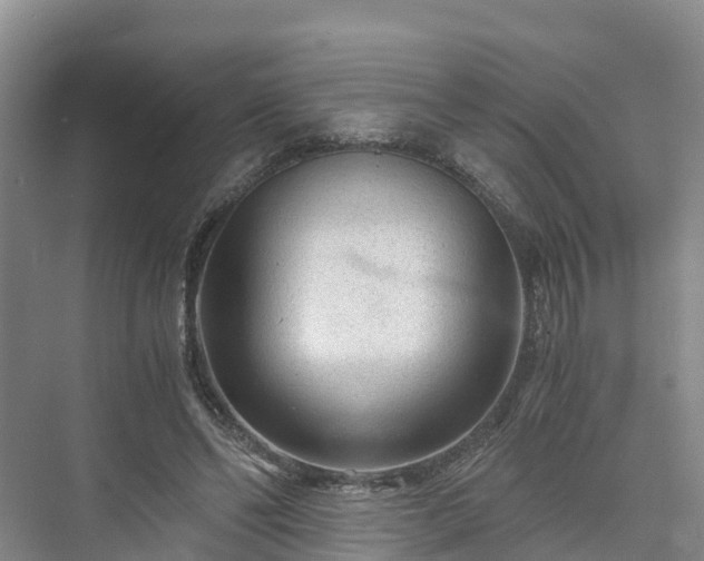 X0000073430494200608041054