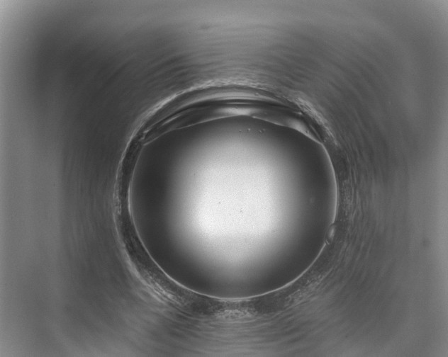 X0000073430536200608041053