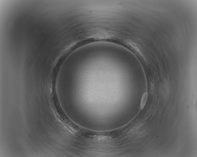X0000073430539200608041053