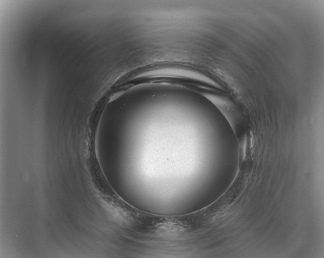 X0000073430544200608041053