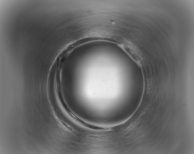 X0000073430580200608041052