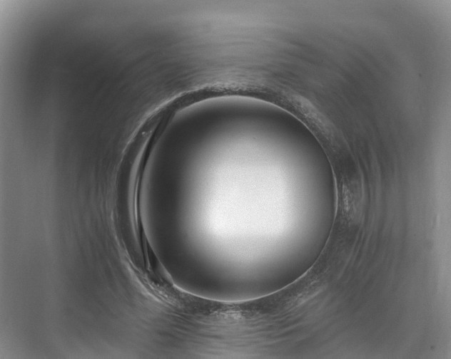 X0000073430588200608041052