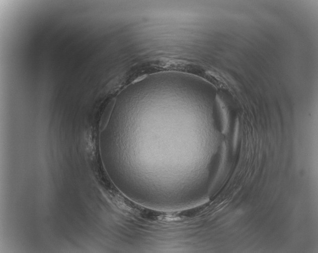 X0000073430607200608041052
