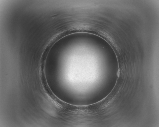 X0000073430629200608041051