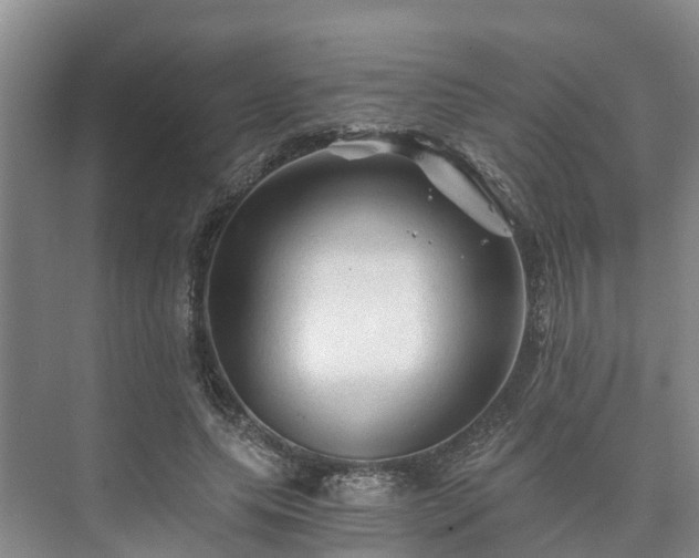 X0000073430639200608041051