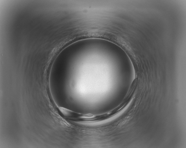 X0000073430673200608041051