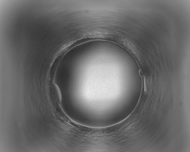 X0000073430675200608041051