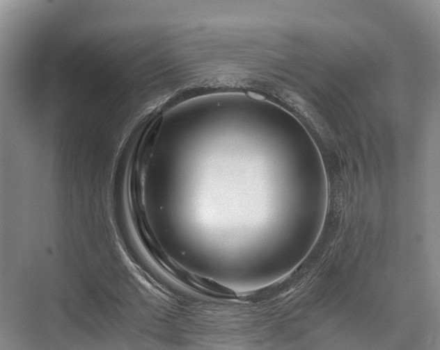 X0000073430677200608041051