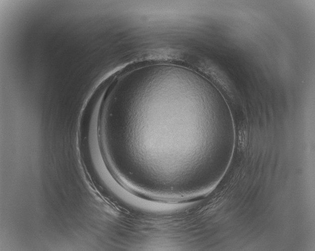 X0000073430724200608041049