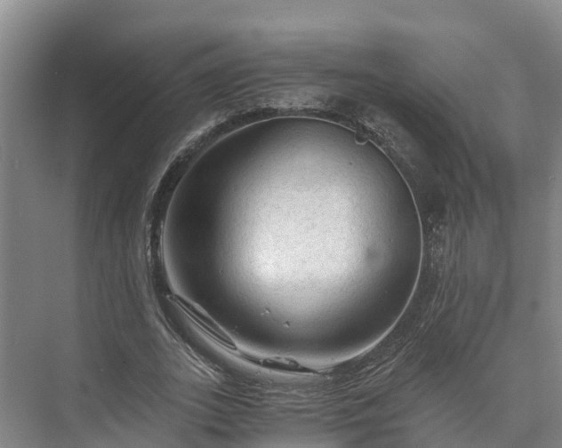 X0000073430727200608041049