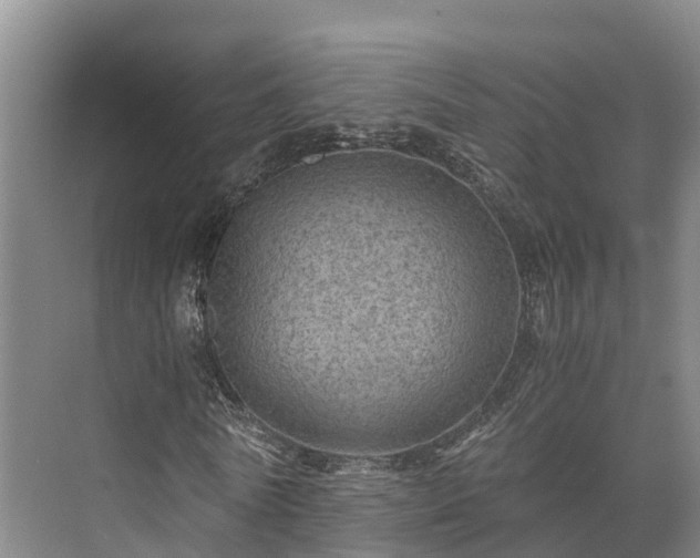 X0000073430770200608041049