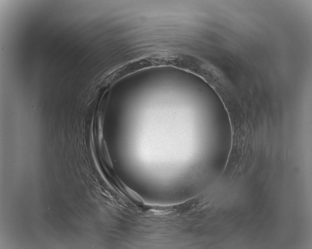 X0000073430773200608041049