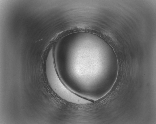 X0000073430776200608041049