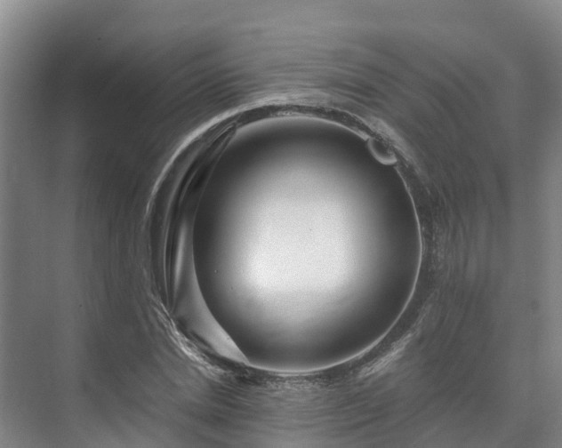 X0000073430830200608041048