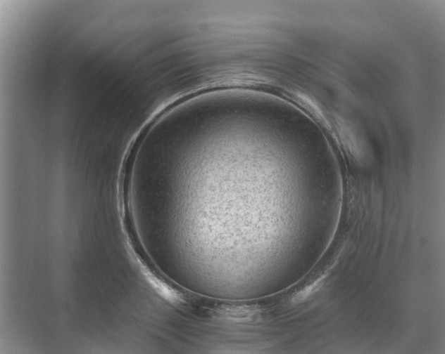 X0000073430843200608041048