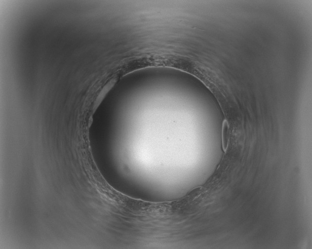 X0000073430865200608041048