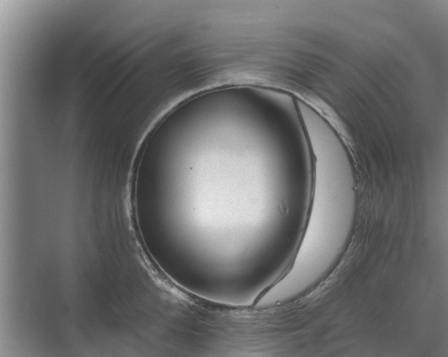 X0000073430904200608041047