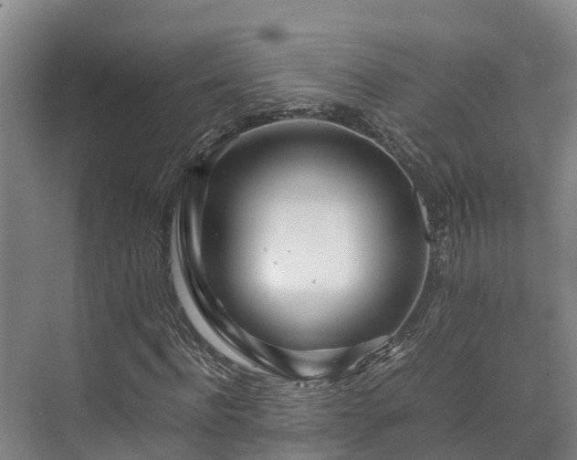 X0000073430916200608041046
