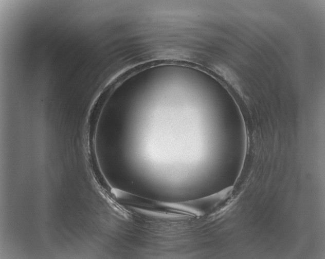 X0000073430931200608041046