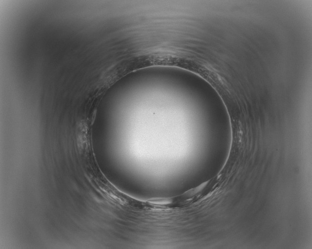 X0000073430964200608041046