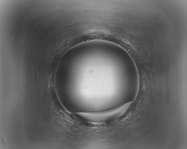 X0000073430965200608041046